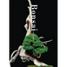 Bonsai: Reprint Edition
