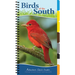 Birds of the South: Your Way to Easily Identify Backyard Birds