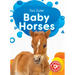 Baby Horses