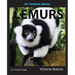 My Favorite Animal: Lemurs