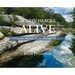 Austin Images Alive