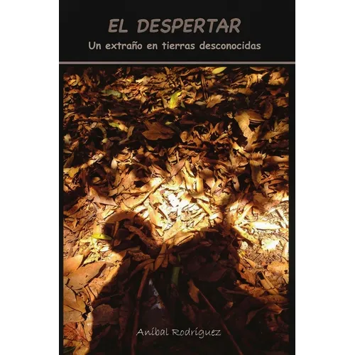 El Despertar: Un extraño en tierras desconocidas