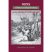 Notes on the Gospels: Critical and Explanatory on Mark & Luke