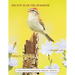 HIS Eye is on the Sparrow: A Devotional Inspired by Nature: Volume 2
