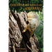 Discover the World of Squirrels: Illustrated Kids Book With Fun Facts About Squirrels And Builds Kids Vocabulary