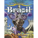 Cultural Traditions in Brazil