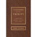 Transformed by the Trinity (Milano Softone): A Devotional Journey Through God's Names