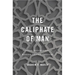 Caliphate of Man: Popular Sovereignty in Modern Islamic Thought