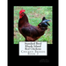 Standard Bred Rhode Island Red Chickens