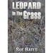 Leopard In The Grass