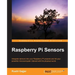 Raspberry Pi Sensors