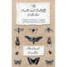 The Beetle and Butterfly Collection - A Guide to Collecting, Arranging and Preserving Insects at Home