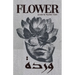 warda