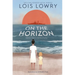 On the Horizon