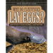 Why Do Platypuses Lay Eggs?: And Other Curious Mammal Adaptations