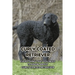 Curly Coated Retriever: Everything That You Need to Know About Curly Coated Retriever: How Well You Know ABout Curly Coated Retriever?