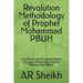 Revolution Methodology of Prophet Mohammad PBUH: A Synopsis of the revolutionary struggle of the Holy Prophet Mohammad PBUH