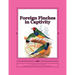 Foreign Finches in Captivity