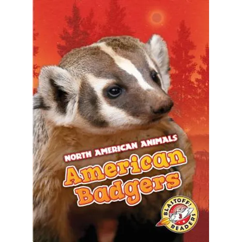American Badgers