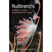 Nudibranchs of Britain, Ireland and Northwest Europe: Second Edition