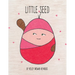 Little Seed