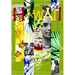 Hawai'i: A History of the Big Island