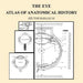 The Eye: Atlas of Anatomical History