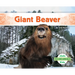 Giant Beaver