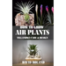 How to Grow Air Plants: Tillandsia Care and Design