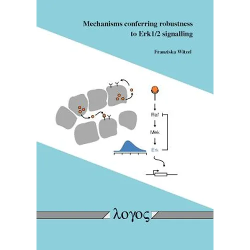 Mechanisms Conferring Robustness to Erk1/2 Signalling