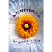 Meditations on Divine Names