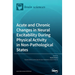 Acute and Chronic Changes in Neural Excitability During Physical Activity in Non-Pathological States