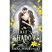 Secret Shadows: A Greek God Paranormal Romance