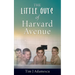 The Little Guys of Harvard Avenue