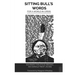 Sitting Bull's Words: For a World in Crisis