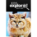 Sand Cats - Kids Explore: Animal books nonfiction - books ages 5-6