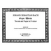 Toccata and Fugue in D Minor: Organ Solo