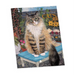 Mimi Vang Olsen Cats Color Bk