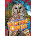 Barred Owls