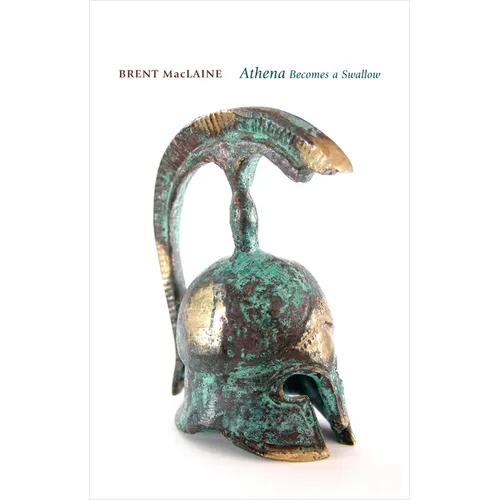 Athena Becomes a Swallow and Other Voices from the Odyssey