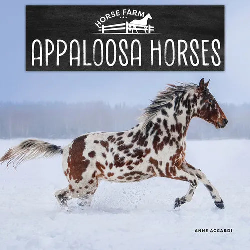 Appaloosa Horses