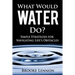 What Would Water Do?: Simple Strategies for Navigating Life's Obstacles