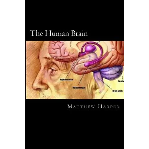 The Human Brain: A Fascinating Book Containing Human Brain Facts, Trivia, Images & Memory Recall Quiz: Suitable for Adults & Children