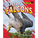 Speedy Falcons