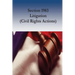 Section 1983 Litigation (Civil Rights Actions)