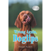 Wrong Again, Doglips