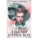 Like No Other Boy