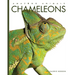 Chameleons