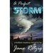 A Perfect Storm: A Lesbian Mystery Romance