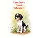 Little Orsie's Forest Adventure